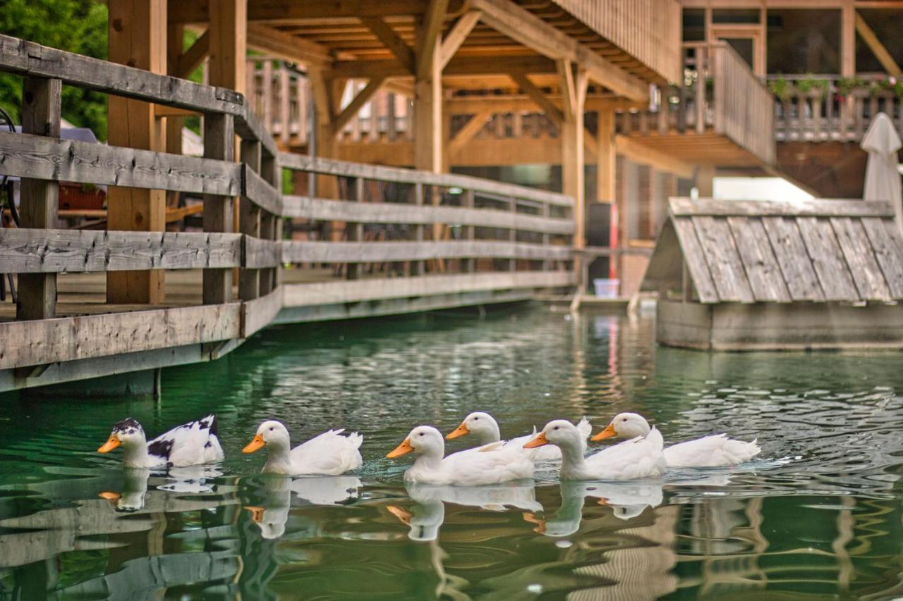 Slovenia Eco resort Stahovica Esterno foto