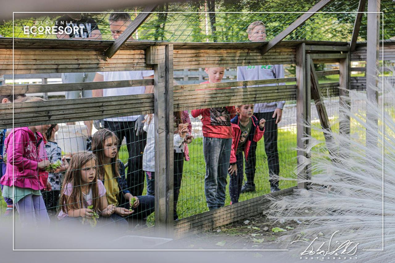 Slovenia Eco resort Stahovica Esterno foto