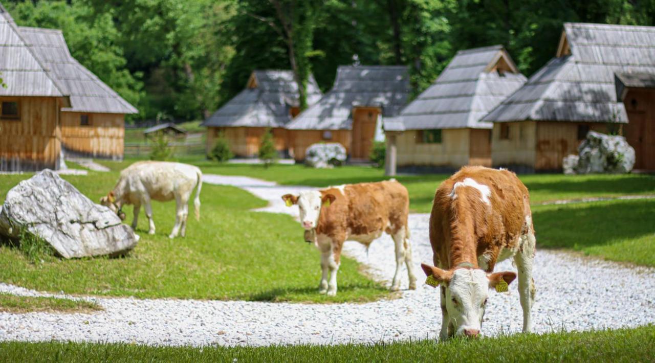 Slovenia Eco resort Stahovica Esterno foto