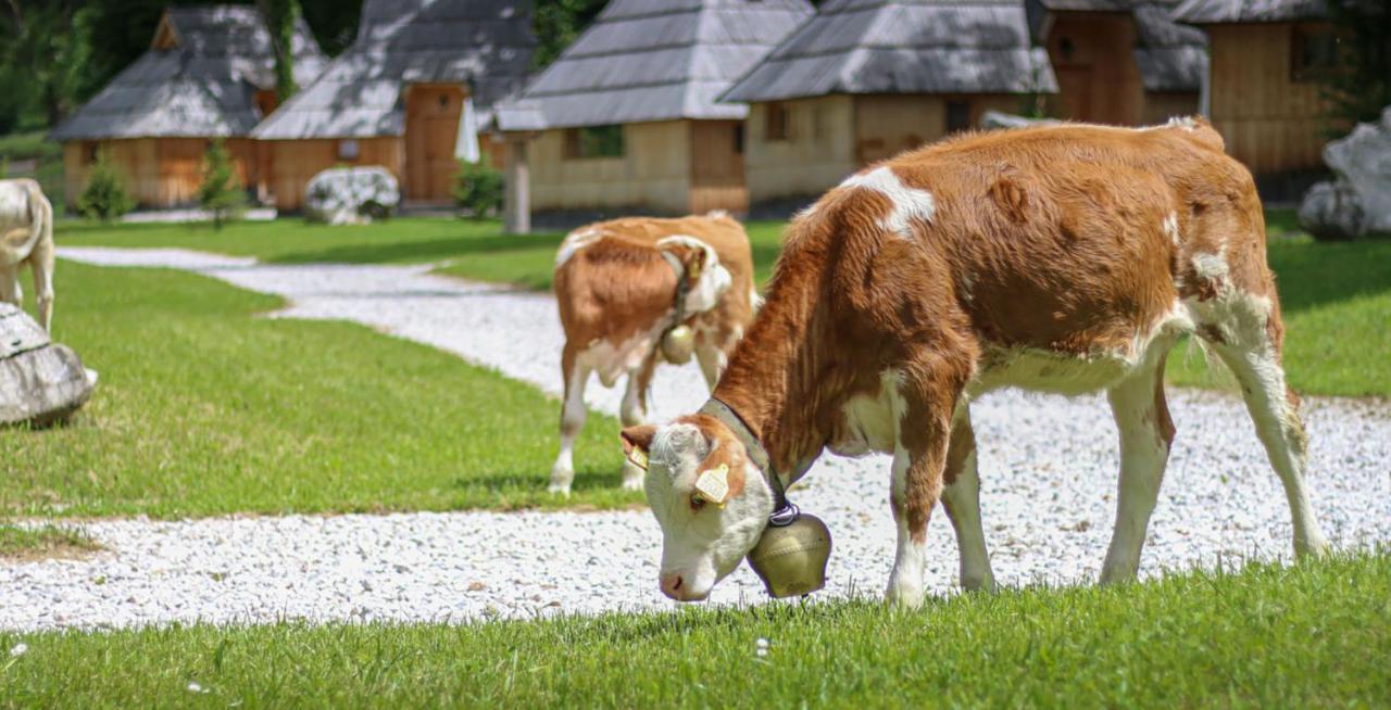 Slovenia Eco resort Stahovica Esterno foto