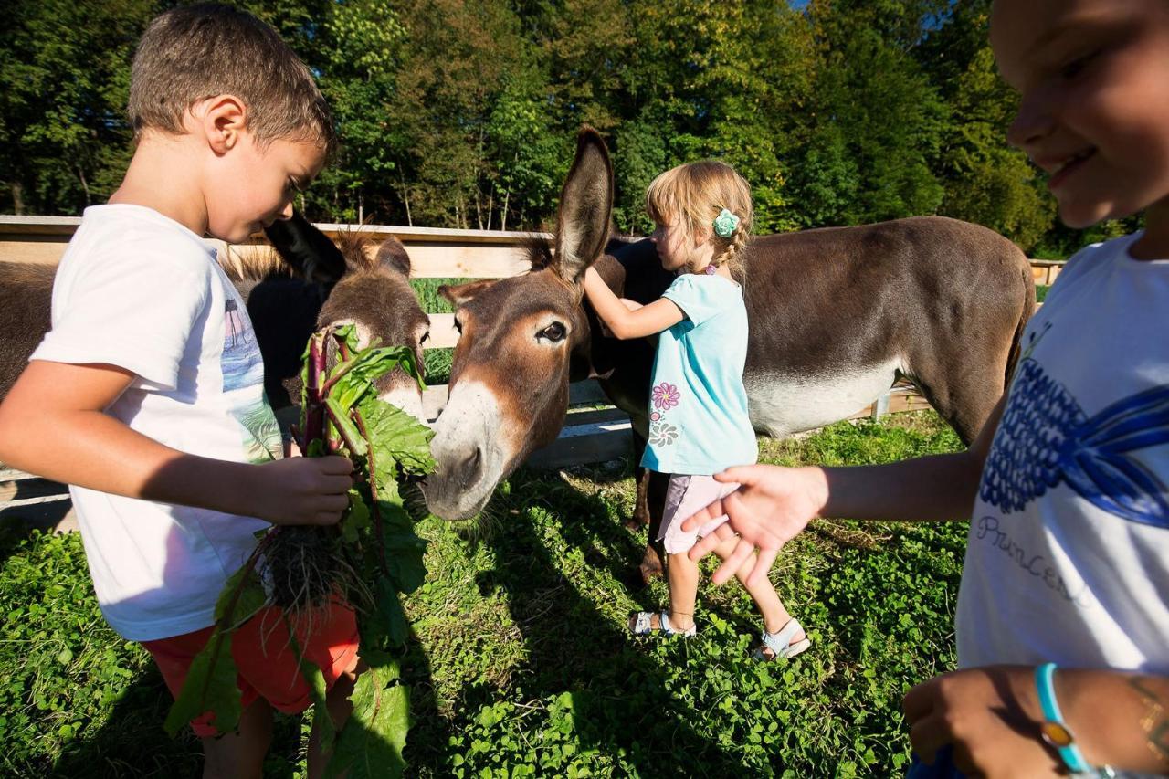 Slovenia Eco resort Stahovica Esterno foto