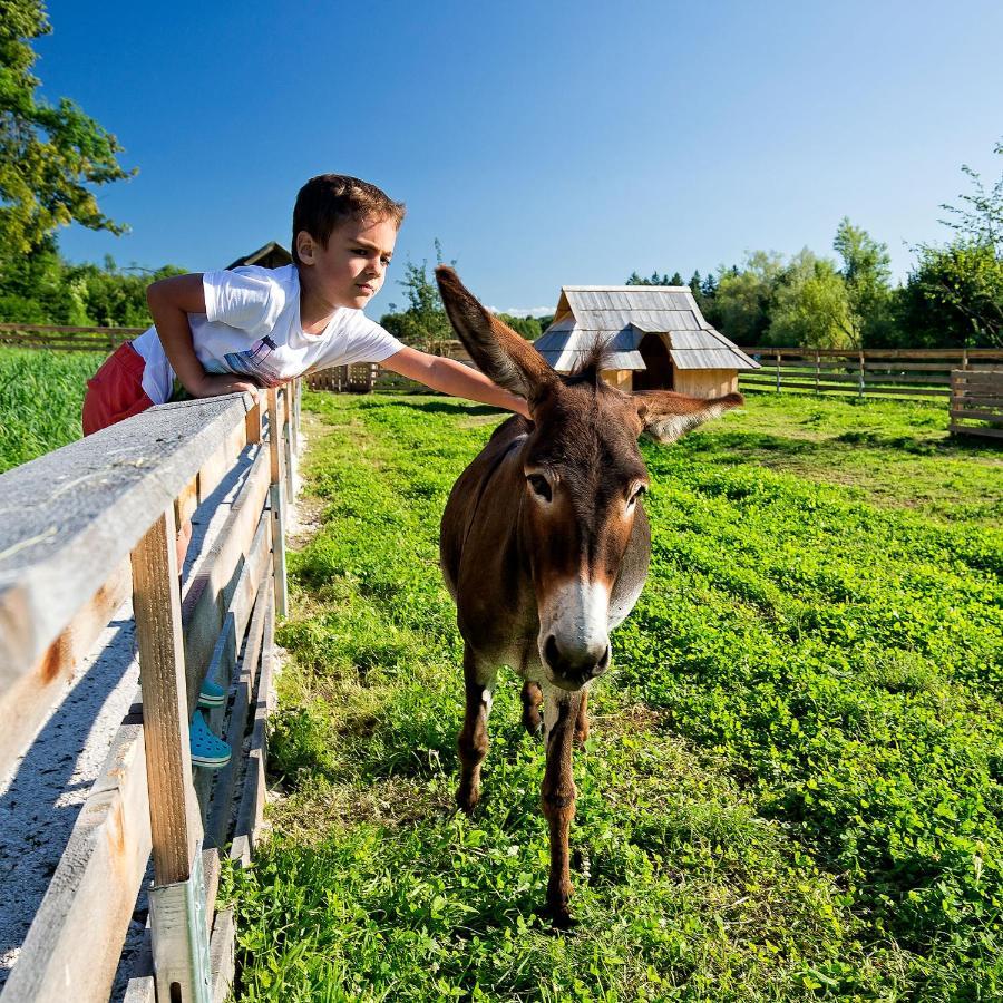 Slovenia Eco resort Stahovica Esterno foto